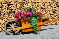 Infos zu Brennholzhandel Säufferer