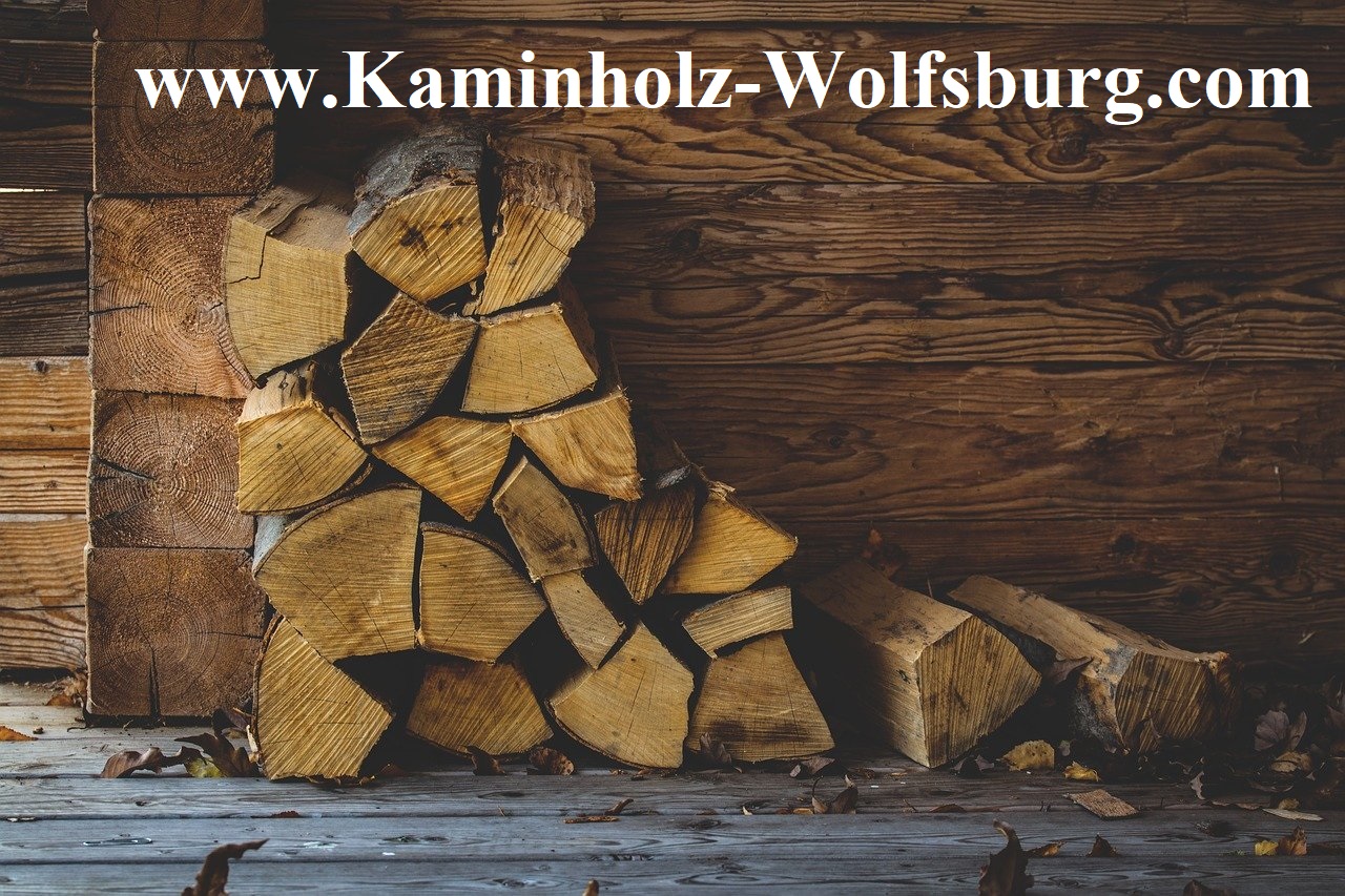 Dieses Bild zeigt das Logo des Unternehmens Kaminholz Schulze